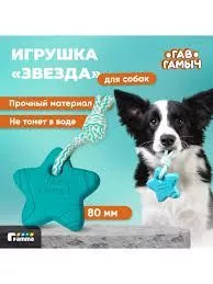 звезда