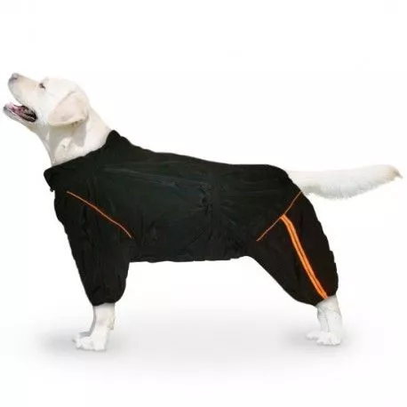 zootrend