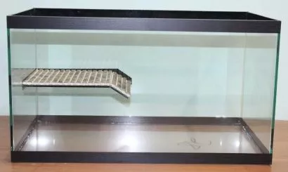 Новый точечный рисунок