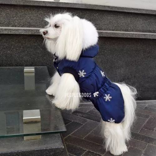 комбез