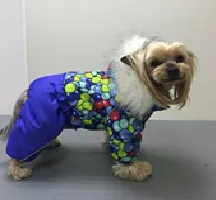 Безымянный