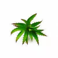 x36uzhp5jl658a0z4c0noxm13febxvsj0.JPG.pagespeed.ic.ryrSoGBNdf