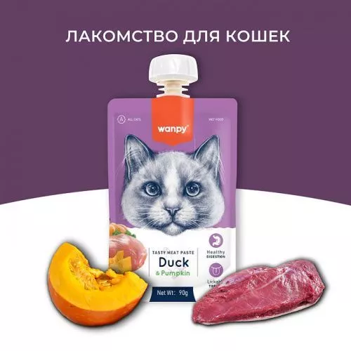 утка