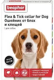 Без названия (6)
