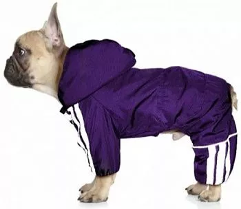 ZooTREND Дождевик Спорт XL