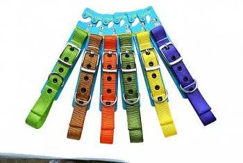 Collar&Lead Ошейник нейлон 25мм*61см