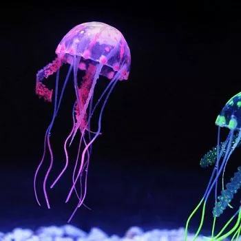 Медуза Jelly Fish L, ø 10см