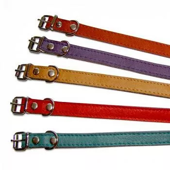 ZooTREND Ошейник пустой №25 кожа 2,5см*50см