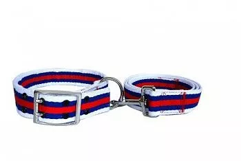 Collar&Lead Ошейник с поводком для собак нейлон 38мм*122см+51см