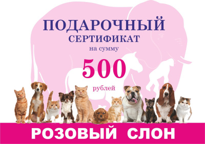 Подарочный сертификат 500 фото в интернет-магазине Розовый слон