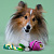 Mr.Kranch Игрушка для собак мелких и средних пород Роза с канатом 29х5х5см, розовая 