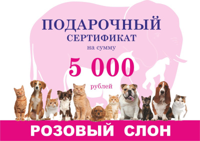 Подарочный сертификат 5000 фото в интернет-магазине Розовый слон