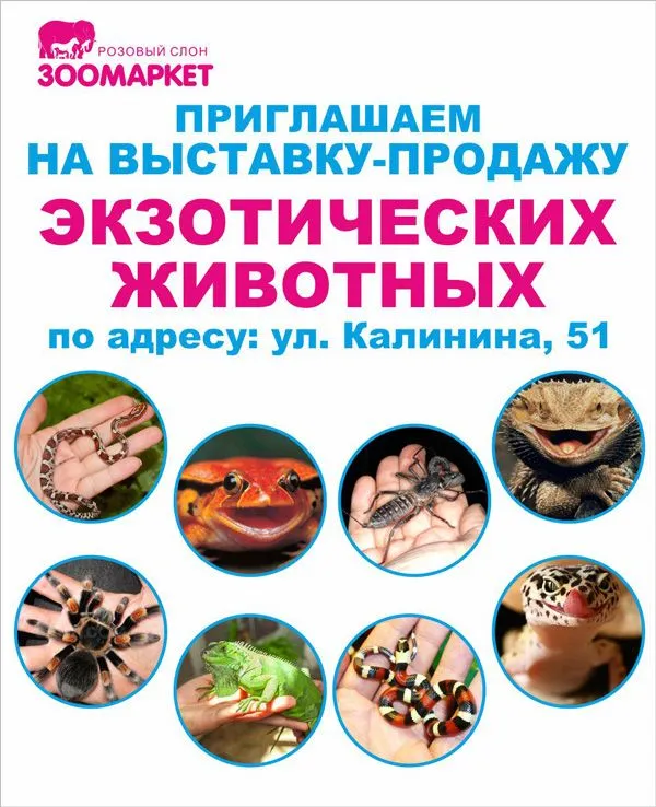 С 26 по 30 декабря  выставка-продажа экзотических животных!